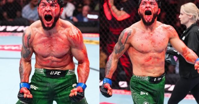 featured-image-76395