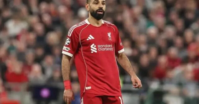 featured-image-76462